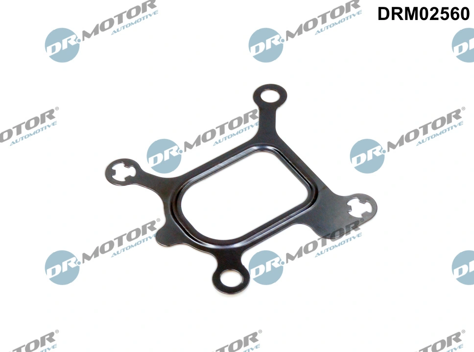 Gasket, coolant flange